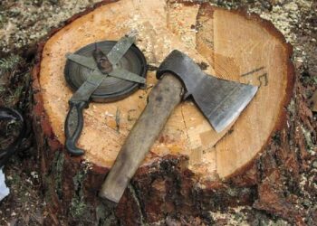 В Каларашском районе двух лесников заподозрили в краже древесины