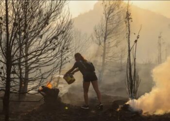 Лесные пожары в Греции: огонь добрался до Афин, жители бегут из пригородов, власти просят о помощи