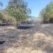 Incendiu devastator în sudul țării. 19 hectare de teren au fost mistuite de flăcări