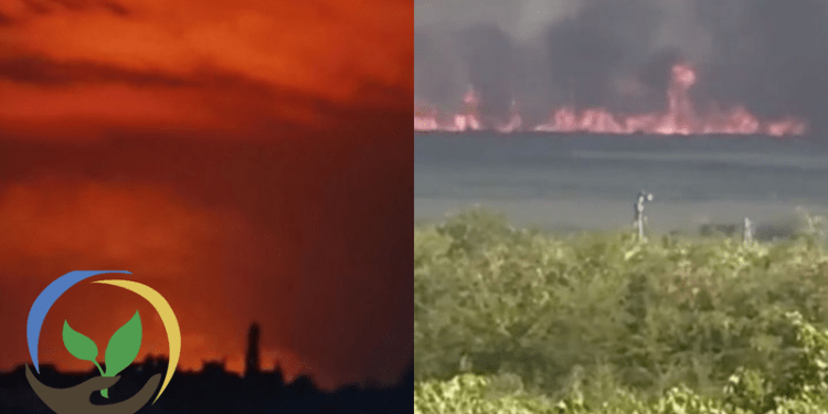 Nivel de poluare la limită, la frontiera cu Ucraina, unde a izbucnit un puternic incendiu de vegetație