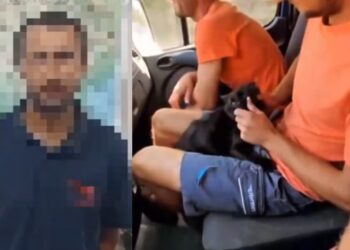 Bărbatul care și-a bătut joc, alături de amici, de o pisică – amendat de poliție