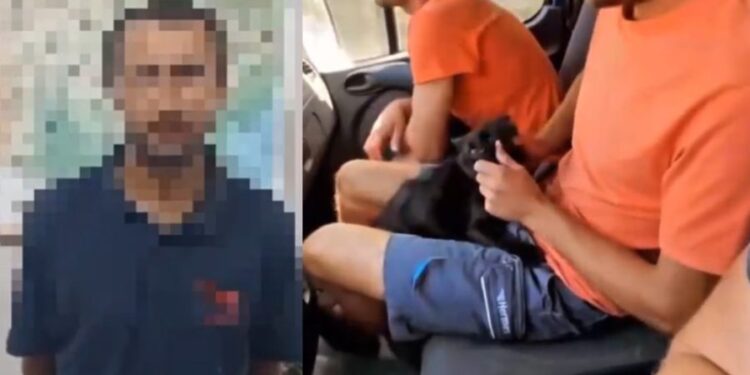 Bărbatul care și-a bătut joc, alături de amici, de o pisică – amendat de poliție