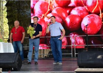 Гроздь винограда весом почти 4 кг продана на фестивале в Чимишлии