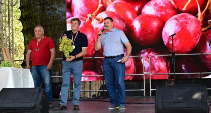 Гроздь винограда весом почти 4 кг продана на фестивале в Чимишлии