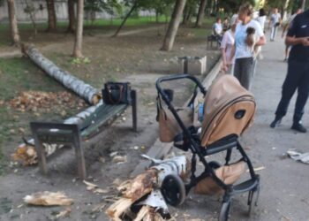 В Кишиневе дерево упало на скамейку, где сидела женщина с ребенком