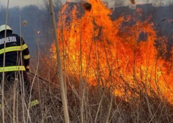 Un incendiu de vegetație a lăsat fără gaz peste 400 de consumatori din Călărași
