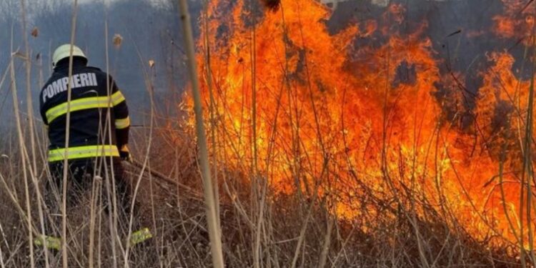 Un incendiu de vegetație a lăsat fără gaz peste 400 de consumatori din Călărași