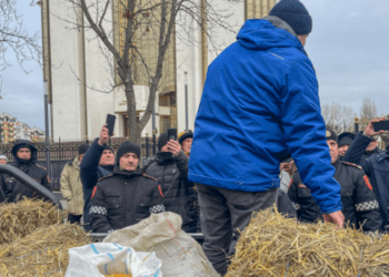 Fermierii anunță protest la Președinție, mâine: Cerem Maiei Sandu să întoarcă Parlamentului legea votată cu viteza fulgerului