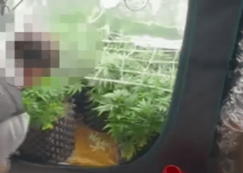 35-летний мужчина из столицы задержан по делу о кокаине на сумму около 1 миллиона леев