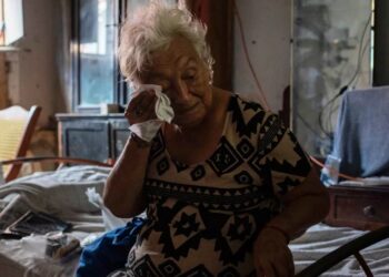 В северном полушарии лето 2024 года стало самым жарким за историю наблюдений