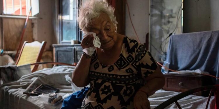 В северном полушарии лето 2024 года стало самым жарким за историю наблюдений