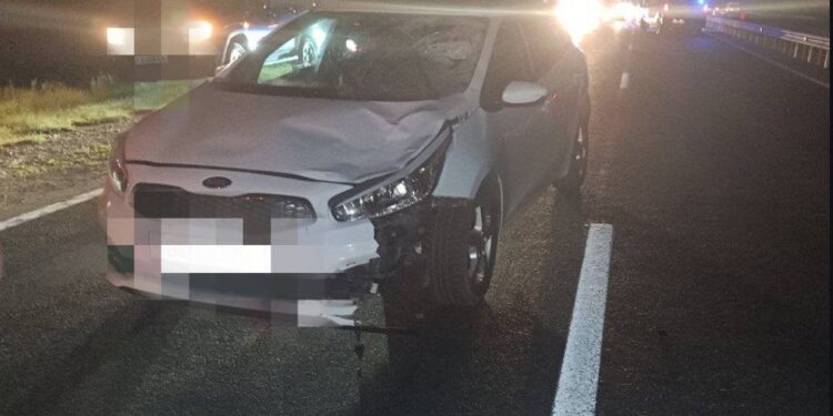 На трассе Кишинев — Оргеев под колесами авто погиб мужчина