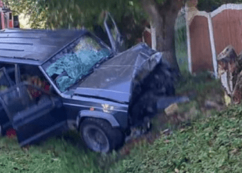 Въехал на автомобиле в дерево. Пассажирка погибла на месте