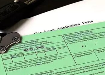 В Молдове «Зеленая карта» будет доступна в электронном формате