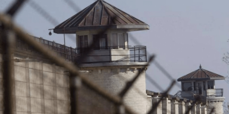 Мужчина, разыскиваемый с 2016 года за изнасилование и разбой, задержан в России и передан властям Молдова