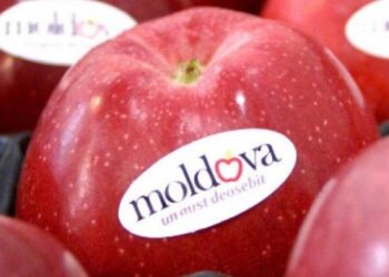 Илан Шор: Благодаря нашим усилиям молдавские овощи и фрукты вернулись на российский рынок. Следующий шаг — открытие в Москве магазина «Евразия»