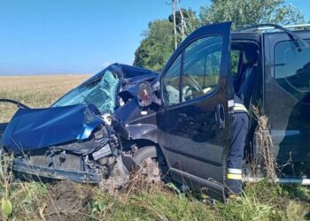 Серьезная авария в Сынжерейском районе. Женщина-водитель скончалась на месте