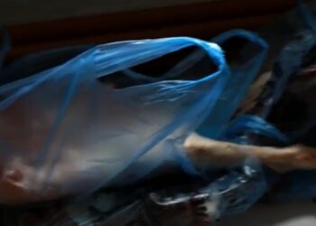 Журналисты GRT: В здании примэрии Комрата прямо на полу лежали пакеты с мясом. Продукция предназначалась для многодетных семей