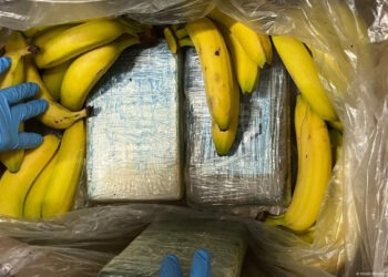 Кокаин на 7 млн евро нашли в ящиках с бананами в сети немецких супермаркетов