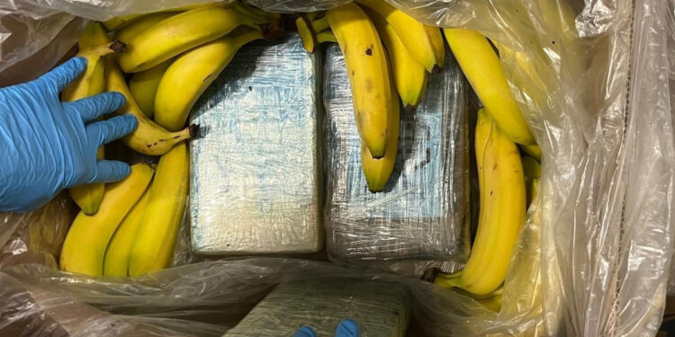 Кокаин на 7 млн евро нашли в ящиках с бананами в сети немецких супермаркетов
