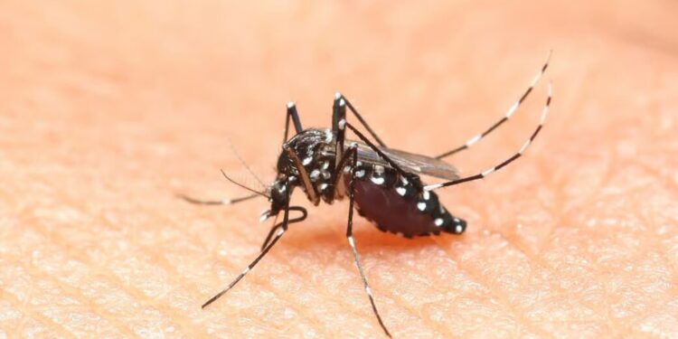 В Молдове у трех пациентов диагностировали вирус Западного Нила. Они находились в тяжелом состоянии