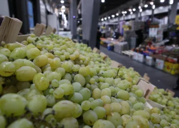 Ilan Șor: Datorită eforturilor noastre, legumele și fructele moldovenești s-au întors pe piața rusă. Următorul pas este deschiderea magazinului „Eurasia” la Moscova