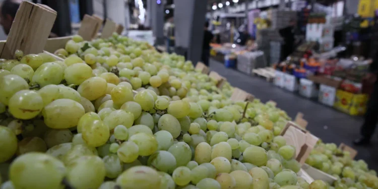 Ilan Șor: Datorită eforturilor noastre, legumele și fructele moldovenești s-au întors pe piața rusă. Următorul pas este deschiderea magazinului „Eurasia” la Moscova