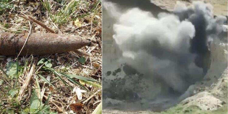 В приграничной зоне Молдовы фермер нашел артиллерийский снаряд