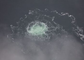 Ультраправые Германии призывают восстановить Северные потоки