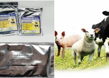 Două medicamente vândute în farmaciile veterinare, periculoase pentru animale: Ce s-a depistat la investigațiile de laborator