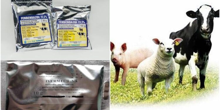 Două medicamente vândute în farmaciile veterinare, periculoase pentru animale: Ce s-a depistat la investigațiile de laborator