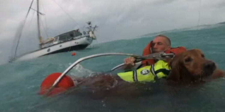 Momentul în care Paza de Coastă a SUA salvează un bărbat şi câinele său de pe o barcă cu pânze în timpul uraganului Helene