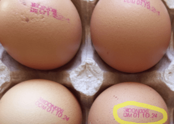 Ouă contaminate cu salmonella, depistate la o fermă de găini din Dondușeni. ANSA vine cu recomandări