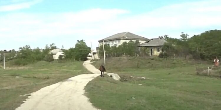 Два школьника из села Мэгура Ноуэ каждый день преодолевают километры по дороге в школу. Две души, две семьи и одна на всех беда