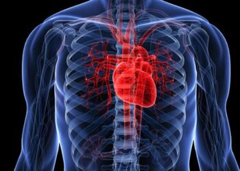 Сердечно-сосудистые заболевания являются причиной большинства смертей в Молдове