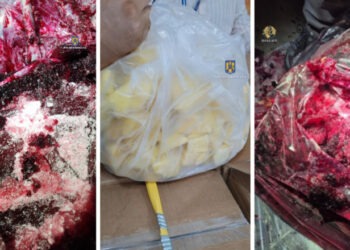 Tone de cocaină au fost descoperite în Portul Constanța. Drogurile erau ascunse în fructe congelate