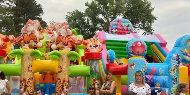 Proiectul lui Ilan Șor „Din tot sufletul” continuă să întărească familiile din toată țara