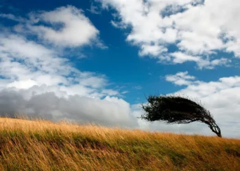 Желтый код усиления ветра: Метеорологи предупреждают о неблагоприятной погоде до 30 сентября