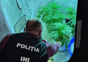 Наркобизнес через Telegram: задержаны двое подозреваемых