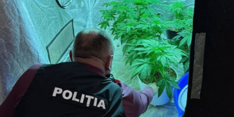 Наркобизнес через Telegram: задержаны двое подозреваемых