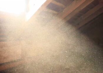 В Молдове ухудшилось качество воздуха из-за пыли. Детям и пожилым людям рекомендовали избегать прогулок на улице