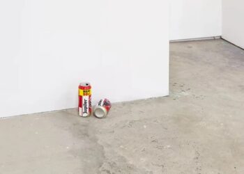 Работник случайно выбросил экспонат современного искусства в Нидерландах