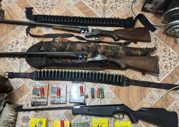 Обыски в Кагуле: изъяты оружие и боеприпасы, используемые для браконьерства