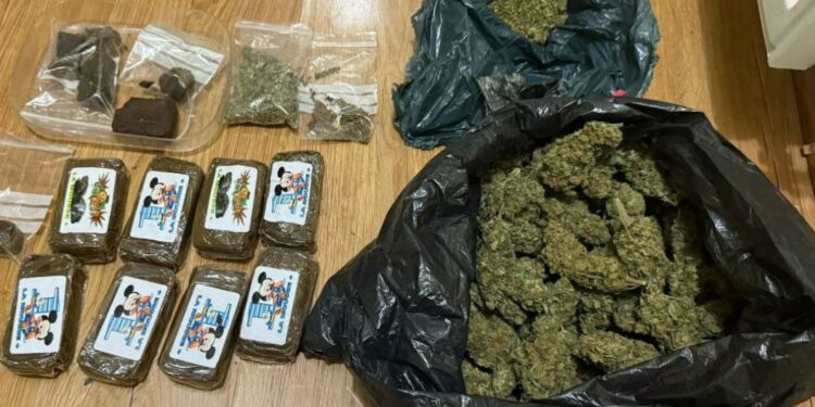 Наркотики на миллионы: полиция изъяла 10 кг запрещенных веществ