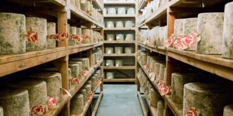 В Лондоне украли 22 тонны элитного сыра стоимостью 300 тысяч фунтов