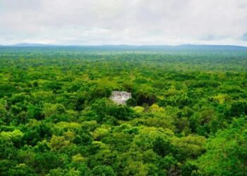 Аспирант случайно нашел затерянный город майя в мексиканских джунглях