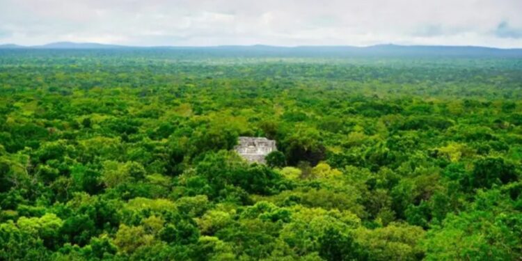 Аспирант случайно нашел затерянный город майя в мексиканских джунглях