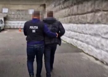 В Молдове раскрыли мошенников, которые обманули инвестора на 20 млн леев