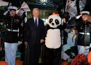 Джилл Байден удивила костюмом панды