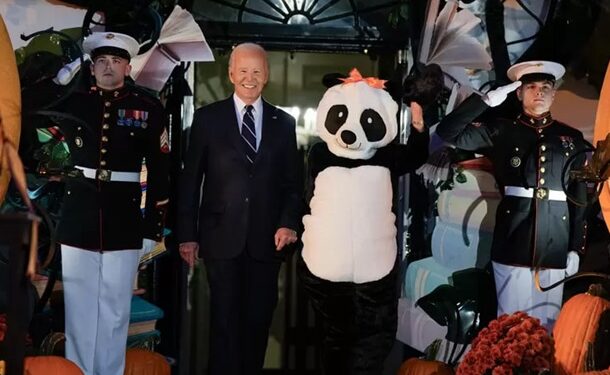 Джилл Байден удивила костюмом панды